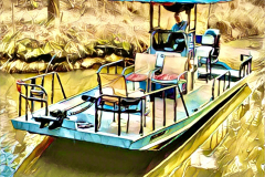 Our Swamp Tour Boat