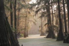 Bigfoot-on-Caddo