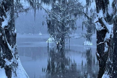 Caddo-Lake-in-snow
